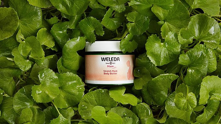 body butter in nature