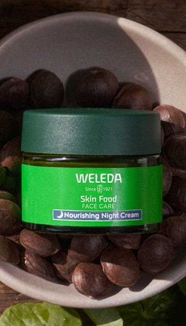 Skin Food Nourishing Night Cream