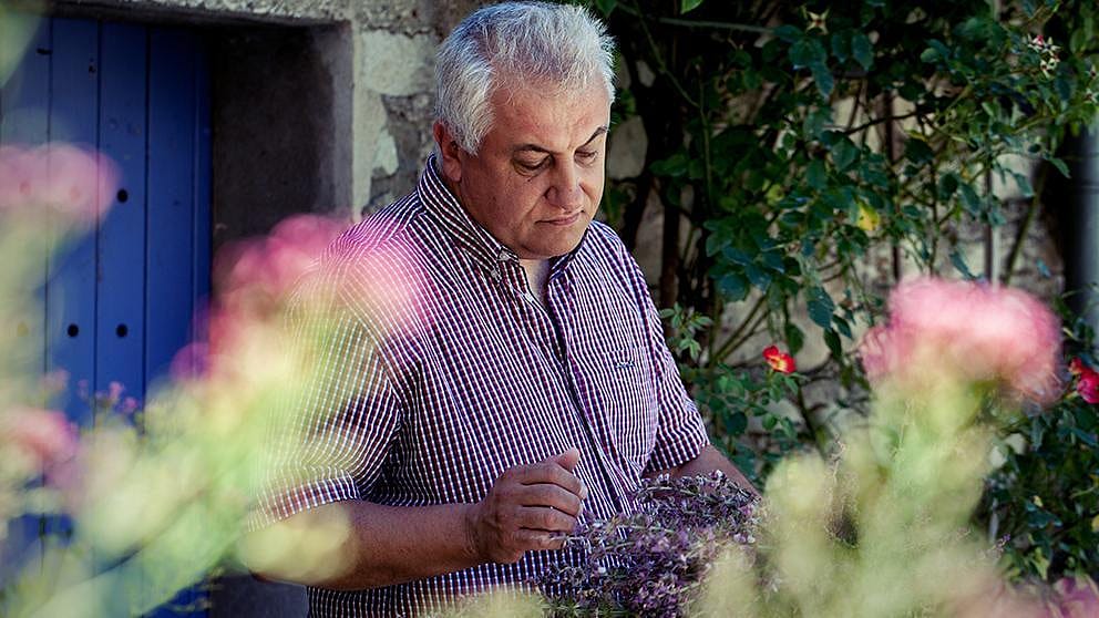 gardener looking at plants